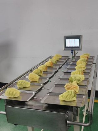 自动水果组合称重器