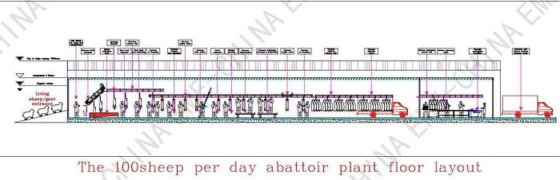 日处理 100 头羊 耐用的养羊设备/屠宰场机器 用于肉类加工生产线的管轨滑轮吊架