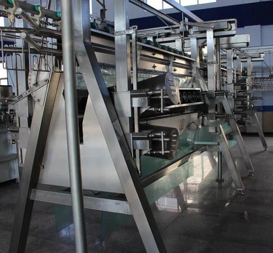 价格低廉的屠宰场立式家禽精选机 家禽屠宰机 家禽屠宰场设备