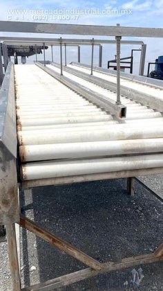 ステンレス製果物選別機