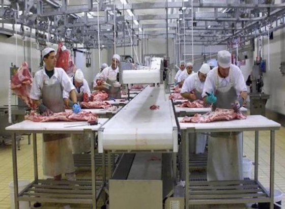 全新定制设计 工厂价自动屠宰机 肉类去骨皮带输送机 屠宰场设备