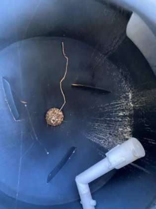 双锥混合机（MIX068）