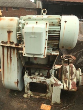 8/6 南卡罗来纳州 (PU319)