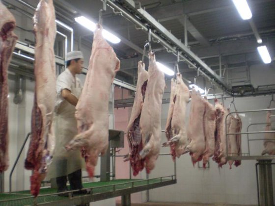 自动屠宰场设备 可移动屠宰场设备屠宰场的生猪屠宰设备