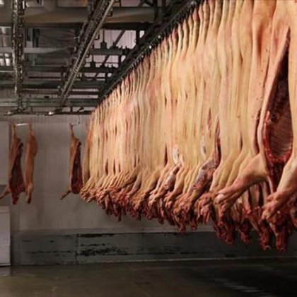 出厂价牲畜屠宰场机械屠宰线 猪肉屠宰场肉猪加工屠宰设备