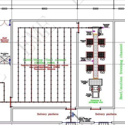 100 头牛和 100 只羊的屠宰场设计，用于牛屠宰线和羊屠宰线的屠宰设备