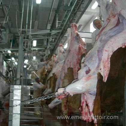 屠宰场设备 50 100 牛屠宰场 肉类加工