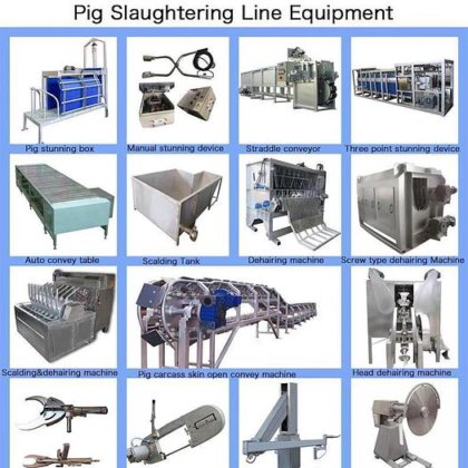 出厂价 母猪屠宰场屠宰设备 用于生猪加工厂的屠宰设备 屠宰线 肉类加工机械