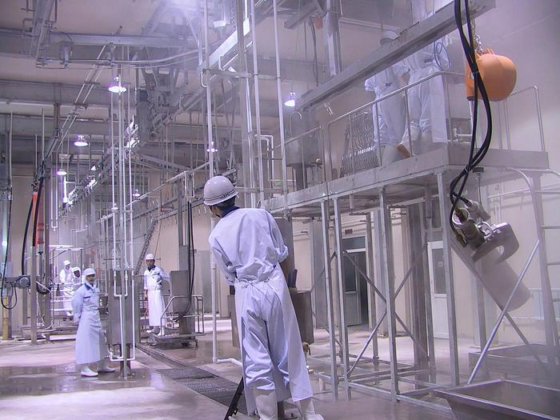 用于屠宰场设备和工具的耐用牛角和牛蹄液压剪牛屠宰机