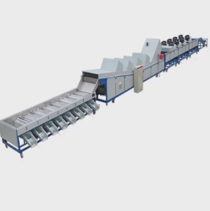 Fruit vegetable air blow washing