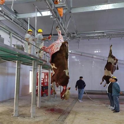 交钥匙工程屠宰场机械 牛屠宰设备 牛屠宰机械 用于家畜的牛肉屠宰线
