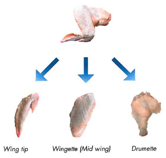 Linco Wing Tulip Processor #2