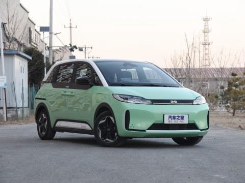 新エネルギー電気 BYD D1