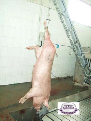 牲畜生猪屠宰设备 管式手动头顶输送轨道屠宰设备 屠宰场设备