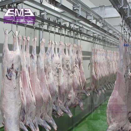 完整的绵羊屠宰场解决方案，屠宰设备的山羊胴体敷料输送轨道