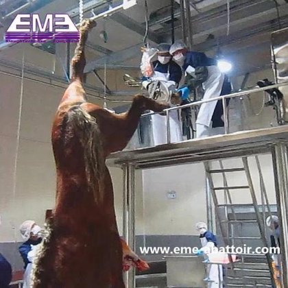 用于农业机械和设备的小容量牛胴体加工处理牛肉屠宰设备