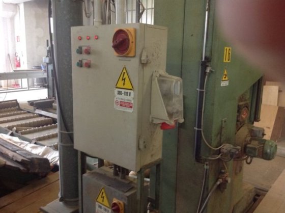 Primultini Primultini