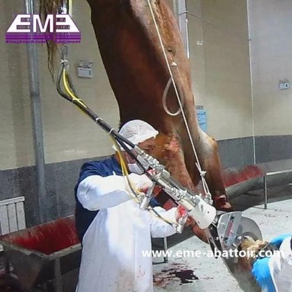 清真牛屠宰设备 牛肉屠宰场交钥匙工程