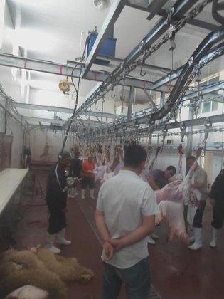 生猪屠宰场管式猪肉胴体加工输送轨道 用于生猪屠宰线 生猪屠宰场设备出厂价