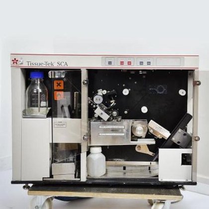 樱花解剖学套装