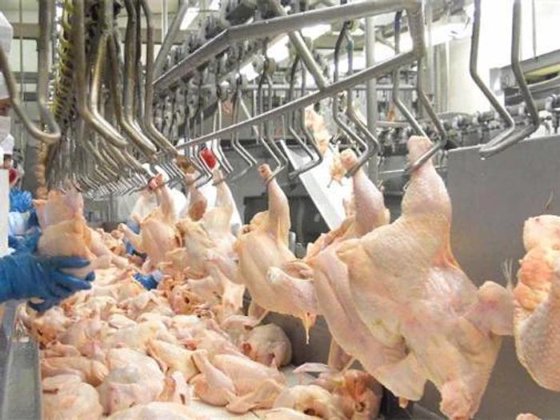 农业机械和设备 全自动肉类热缩机 牛羊肉鸡肉包装切肉机