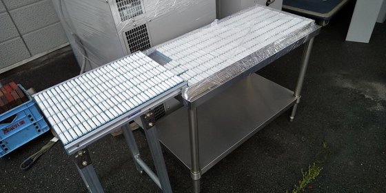 Roller conveyor