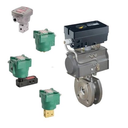 flowserve PMV D30