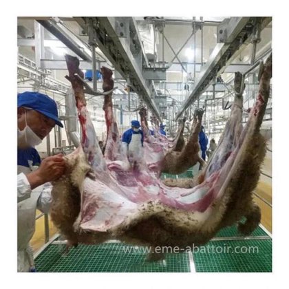 为清真屠宰场轨道系统定制的 20-200 只绵羊山羊全套屠宰线