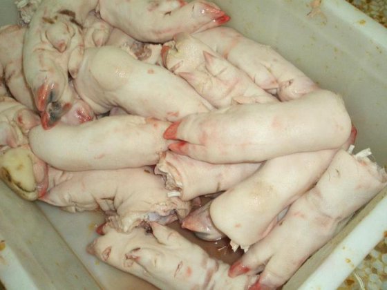 中国制造 工厂生产 用于屠宰场机械的蹄子剥皮机 猪屠宰场设备