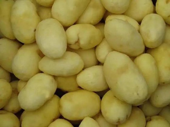 专业土豆清洗线高效工厂价格高质量精确分选