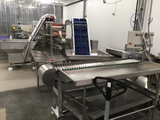 2013 Peruza/Arenco pelagic fish processing