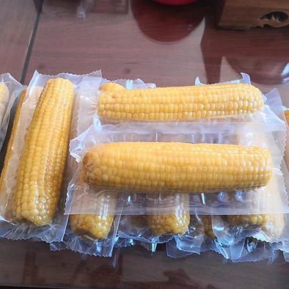 Automatic vacuum pump rolling conveyor