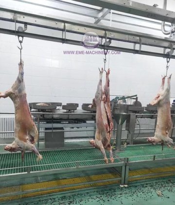 羊肉清真屠宰场全套绵羊屠宰线设备，附带山羊屠宰机