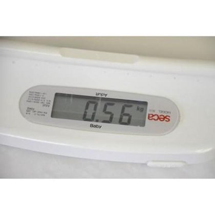 SECA 电子婴儿秤