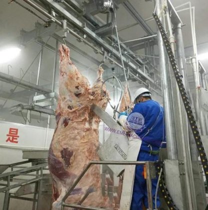 用于屠宰场屠宰车间的优质牛屠宰设备