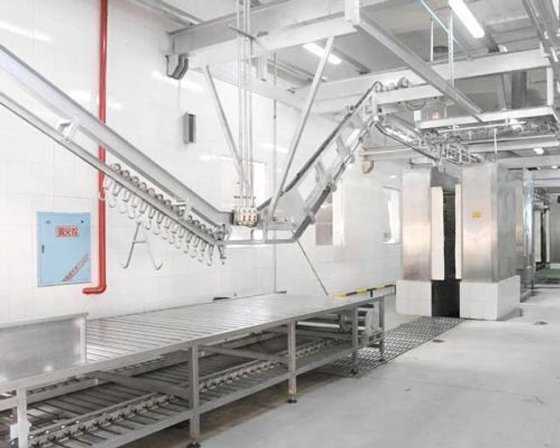 生猪屠宰场屠宰设备生猪放血斜坡提升机