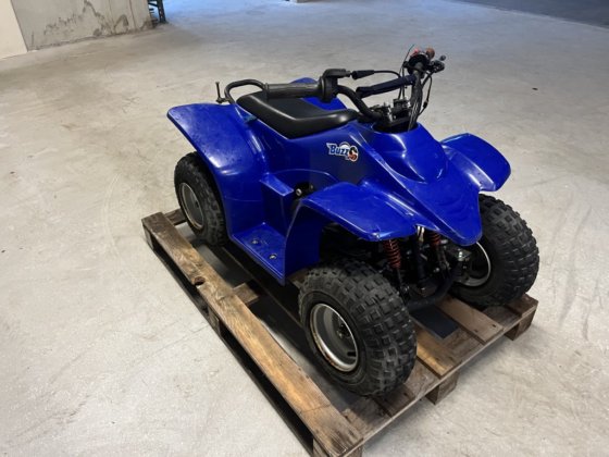 Buzz 50cc quad in Bergschenhoek, South Holland, Netherlands