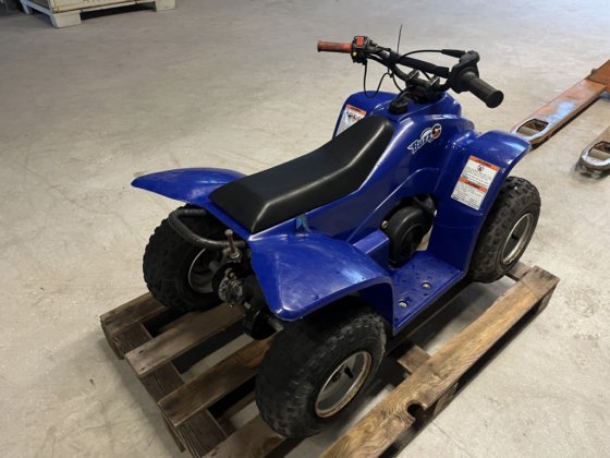 Buzz 50cc quad in Bergschenhoek, South Holland, Netherlands