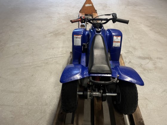 Buzz 50cc quad in Bergschenhoek, South Holland, Netherlands