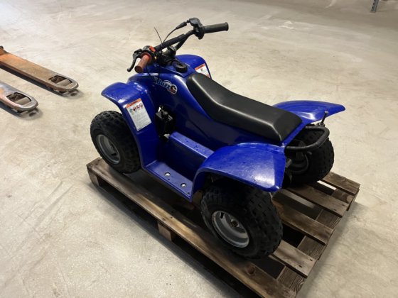 Buzz 50cc quad in Bergschenhoek, South Holland, Netherlands