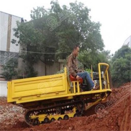 HengWang HW01