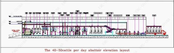 每天屠宰 40-50 头牛的屠宰场布局和报价