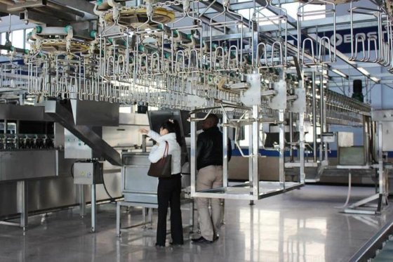 先进的多功能家禽养殖场设备 家禽屠宰加工生产线 鸡屠宰设备供批发