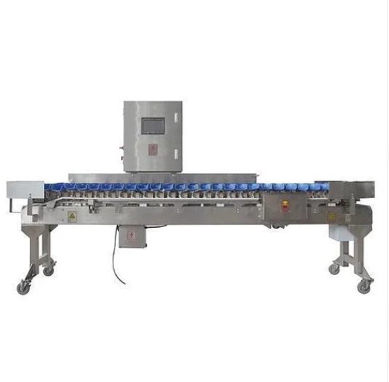 鸡屠宰去骨自动分级秤 用于家禽屠宰的家禽屠宰场设备 鸡屠宰场