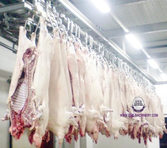 最畅销的屠宰猪机器 屠夫设备加工输送机