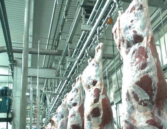 清真牛屠宰场机器 牛屠宰设备 用于牛肉屠宰场肉类加工机械的工艺输送轨道