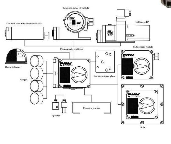 Flowserve PMV P5