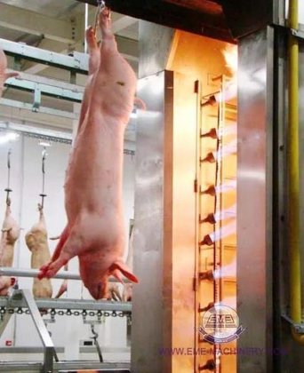 猪屠宰厂 标准猪肉加工厂 带猪肉屠宰设备的烧结炉