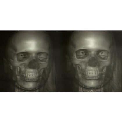 フォークスケルトンを表現したホログラフィック絵画