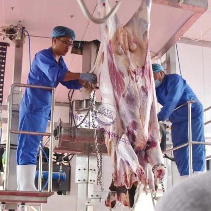 用于牛屠宰厂的价格最优的牛屠宰场液压剥皮机